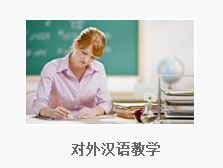 对外汉语教学